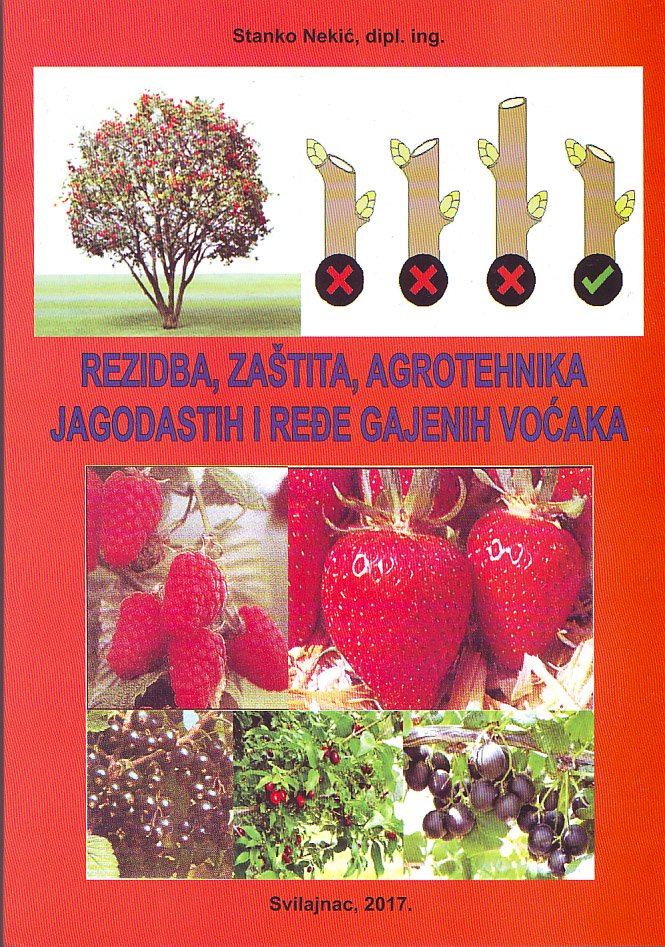 Slika, Rezidba, zaštita i agrotehnika jagodastih i ređe gajenih voćaka 1